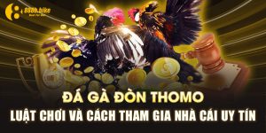 Da-Ga-Don-Thomo-Luat-Choi-Va-Cach-Tham-Gia-Nha-Cai-Uy-Tin
